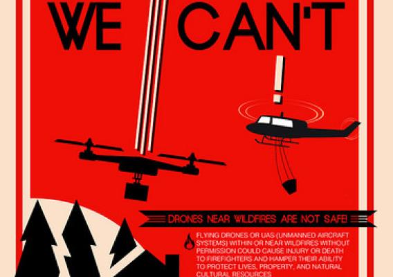 If You Fly, We Can't infographic