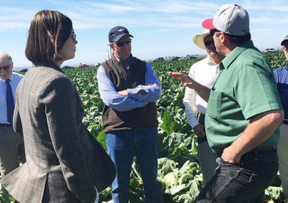 U.S. Department of Agriculture (USDA) Farm and Foreign Agricultural Services (FFAS) Deputy Under Secretary Alexis Taylor speaking with local growers.