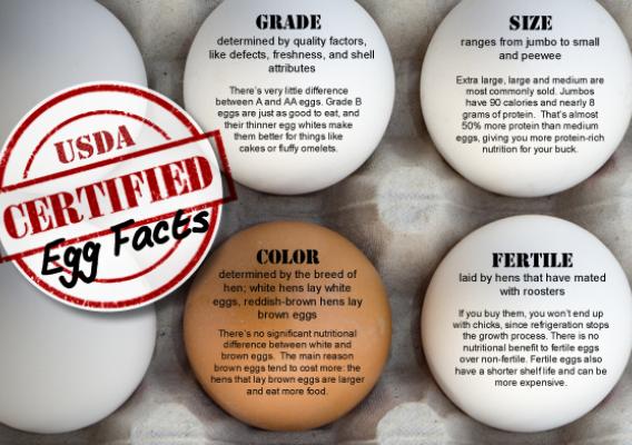 Click to view the full version of our Certified Egg Facts infographic.