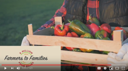 USDA Farmers Feed Families Food Box Program video screenshot