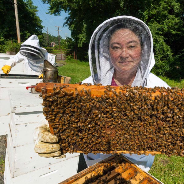 apiarist with bee colony