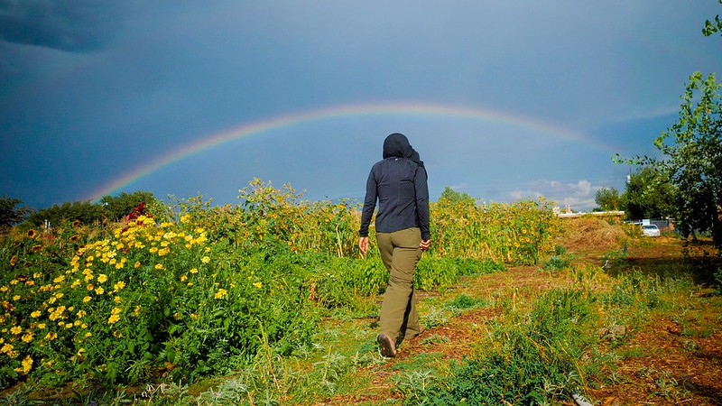 A person walking near flowers with a rainbow in the background
