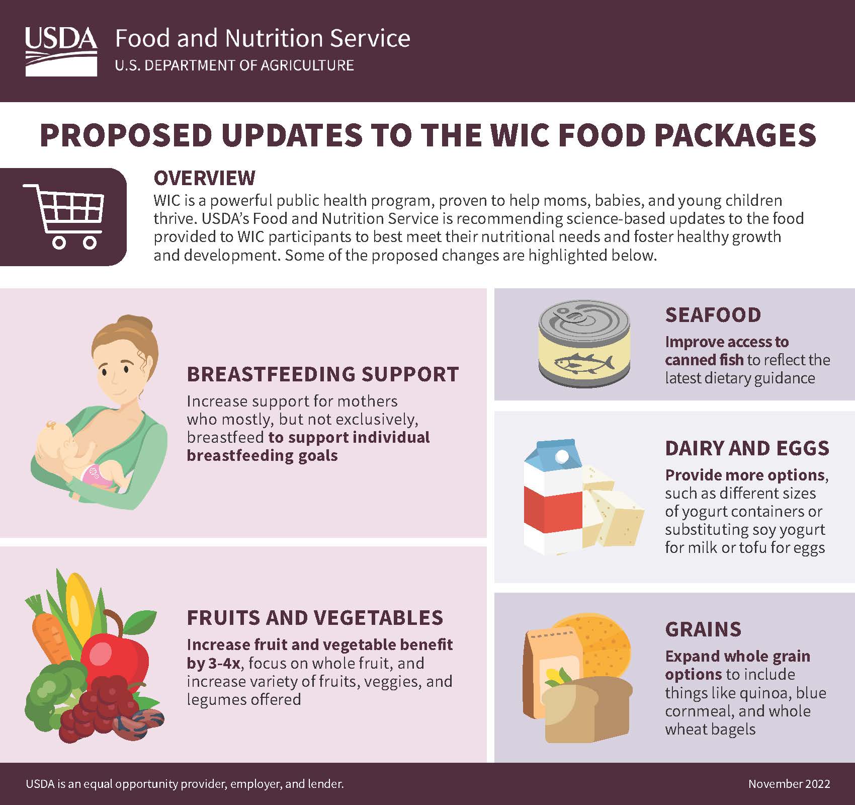 Proposed Updates to the WIC Food Packages infographic