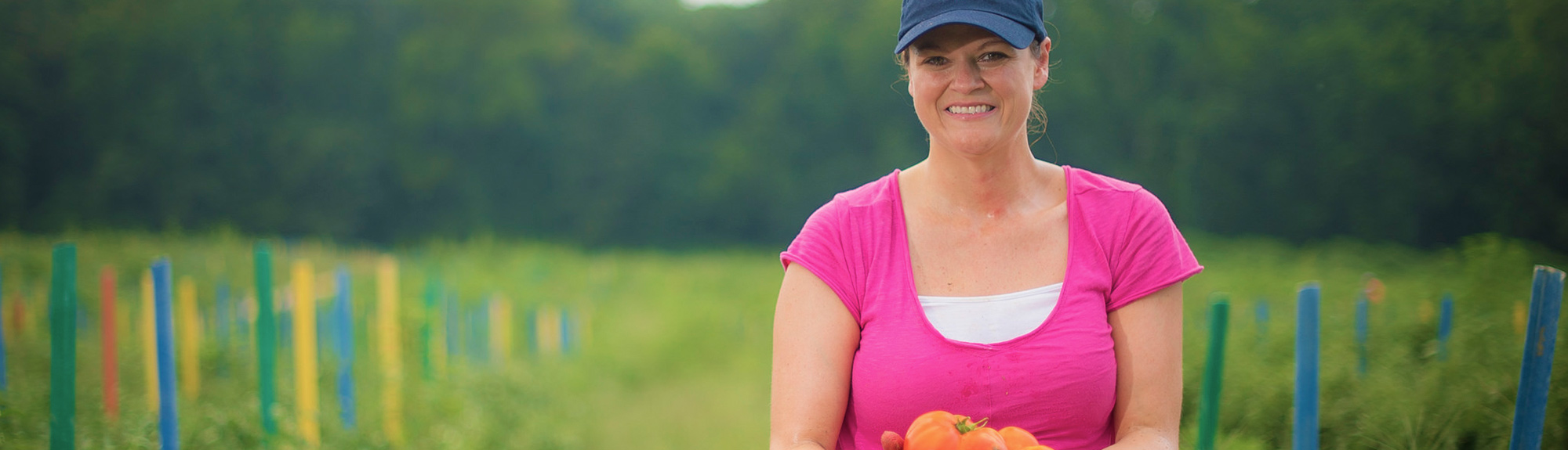 USDA RMA's Stefanie Pidgeon picking tomatoes and squash at Miller Farms in Clinton, Md., July 28, 2017 in support of the 2017 Feds Feed Families campaign. USDA photo by Preston Keres