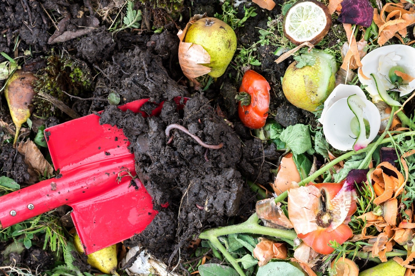 Worms at Work, Recycling Food Waste